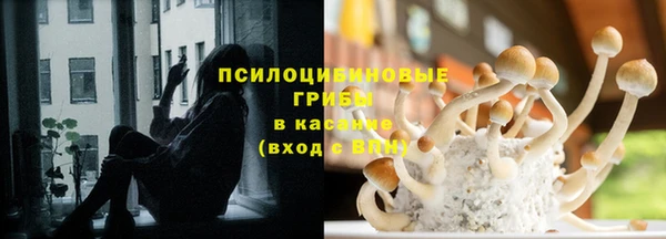 не бодяженный Алзамай