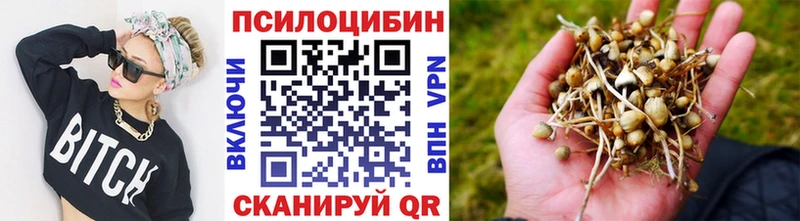 Псилоцибиновые грибы Magic Shrooms  Купить  Казань 