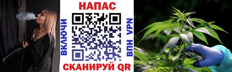 Купить где  Казань  Канабис ГИДРОПОН 